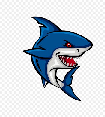 Shark Cartoon Clip art - Cartoon shark 