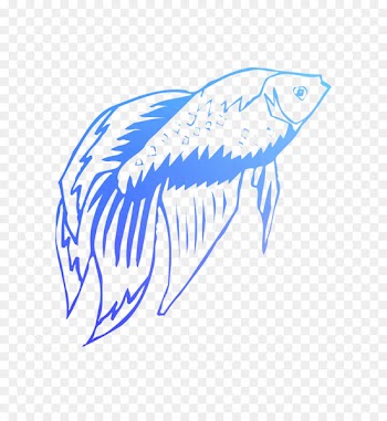 Shark Clip art Illustration Drawing /m/02csf -  