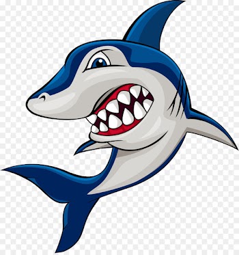 Shark Drawing Illustration - shark 