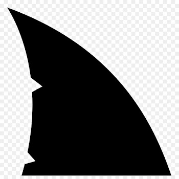 Shark fin soup Shark finning Clip art - vector shark 