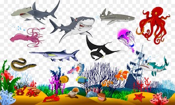 Shark Graphic design Illustration - Vector sea creatures 