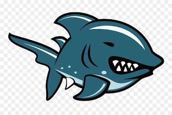 Shark Illustration - Vector Shark 