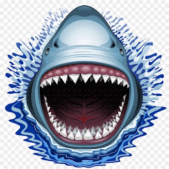 Shark Jaws Jeep Wrangler Car - sharks 