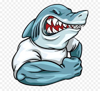 Shark Logo Mascot - sharks 