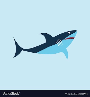 Shark logo vector image