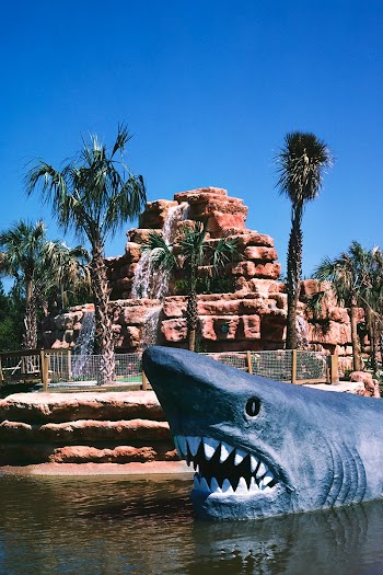 Shark overall, Rainbow Falls Golf, Myrtle… | Free public domain photo