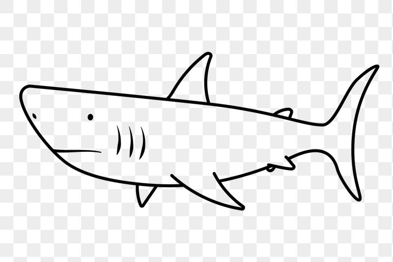 Shark png doodle sticker, black | Free PNG Illustration - rawpixel
