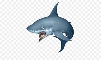 Shark Rendering Software - 3D Great White Shark 