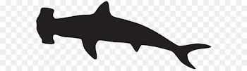 Shark Silhouette Porpoise - Hammerhead Shark Silhouette PNG Clip Art Image 