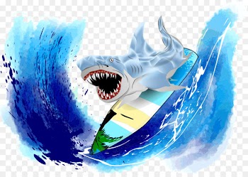 Shark Surfing Clip art - Vector colored shark 