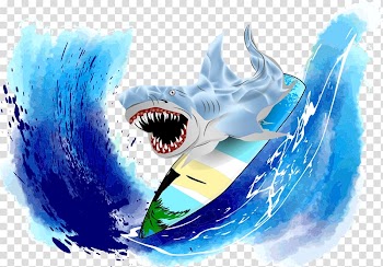 Shark Surfing , colored shark transparent background PNG clipart