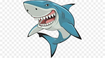 Shark Vector graphics Clip art Royalty-free - shark 