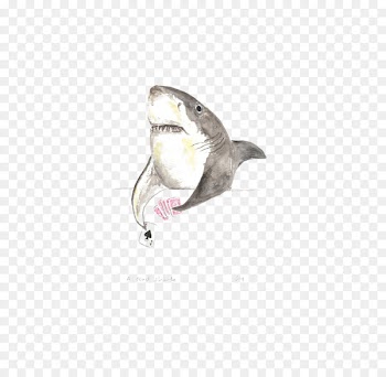 Shark Watercolor painting Art Illustration - Hand drawn shark 