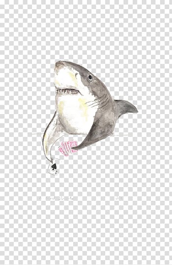 Shark Watercolor painting Art Illustration, Hand drawn shark transparent background PNG clipart