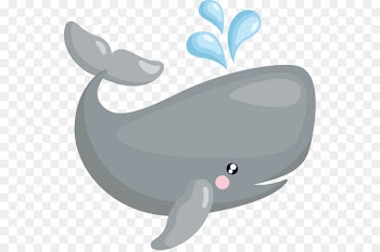 Shark Whale Clip art - Cute whale 