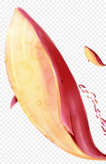 Shark Whale Red Download - whale 