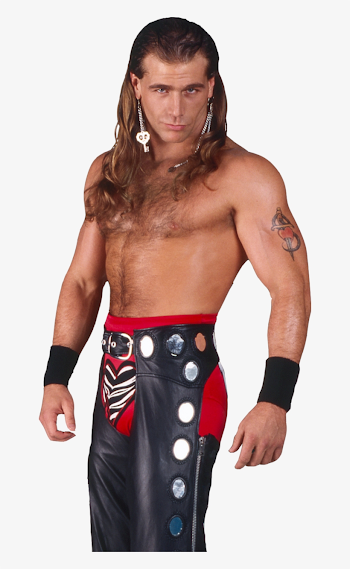Shawn Michaels Png - Hbk Shawn Michaels Png - 638x1253 PNG ...