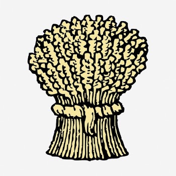 Sheaf clipart, agriculture vintage illustration | Free Vector - rawpixel