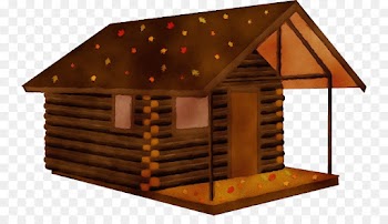 shed roof log cabin house building