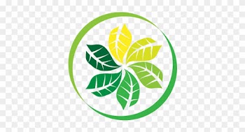 Sheehan Natural Health Improvement Center - Naturopathy