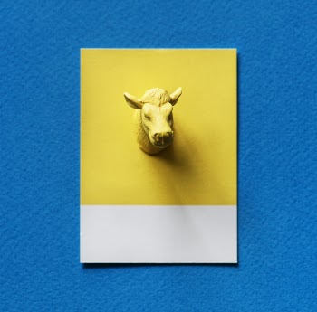 Sheep 3d Wall Art