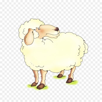 Sheep, Bird, Chicken, Cartoon PNG