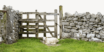 Sheep border collage element, farm | Free PSD - rawpixel