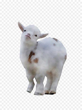 Sheep Cattle Goat Figurine Snout -  