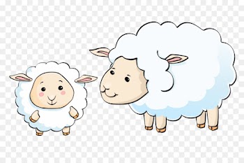 Sheep, Cattle, Line Art, Cartoon PNG