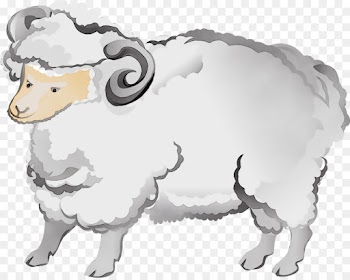 Sheep, Cattle, Mouflon, Animal Figure PNG