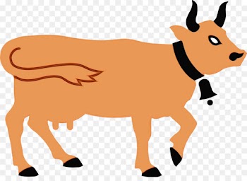 Sheep, Cattle, Red Fox, Cartoon, Bovine PNG