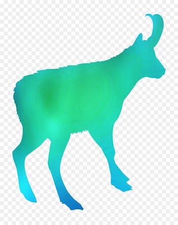 Sheep Cattle Reindeer Goat Mammal -  