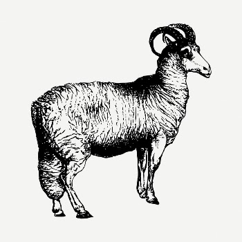 Sheep clipart illustration psd. Free | Free PSD - rawpixel