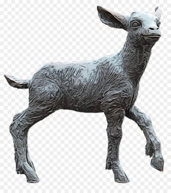 Sheep, Deer, Goat, Vertebrate, Animal Figure PNG