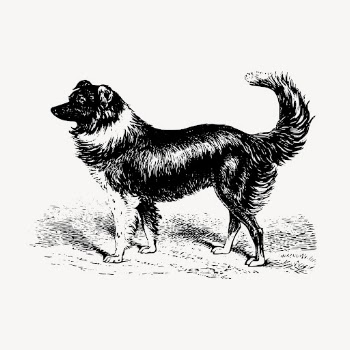 Sheep dog, vintage animal clipart | Free Vector Illustration - rawpixel