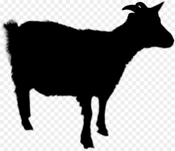 Sheep Donkey Boer goat Image Cattle -  
