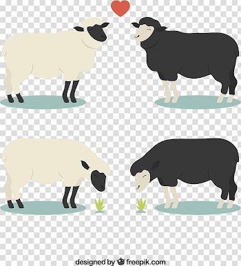 Sheep Euclidean , Two pairs of black and white sheep material ed, transparent background PNG clipart