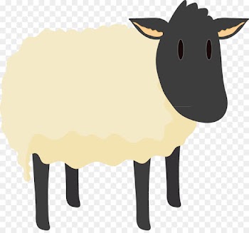 Sheep, Feesttent Helders Fees, Cattle, Livestock PNG