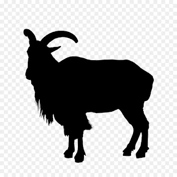 Sheep Goat Cattle Clip art Fauna -  