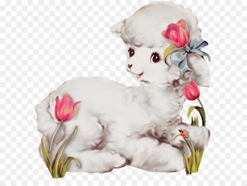 Sheep–goat hybrid Sheep–goat hybrid Clip art - Lamb 