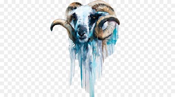 Sheep Goat Watercolor painting Art - Old goat watercolor picture material 