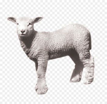 Sheep Humidifier Product Home appliance Shopping - sheep 