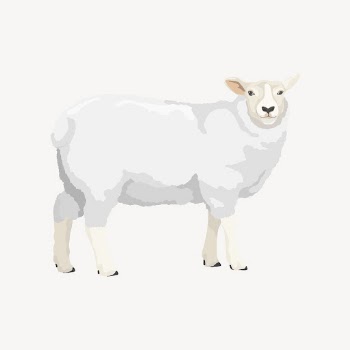 Sheep illustration clipart vector | Free Vector Illustration - rawpixel