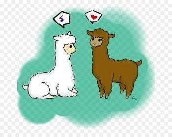 Sheep Llama Alpaca Cattle Horse - sheep 