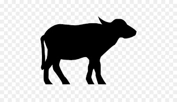 Sheep Mustang Cattle Goat Pack animal -  