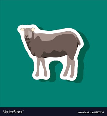 Sheep paper sticker on stylish background vector image