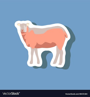 Sheep paper sticker on stylish background vector image