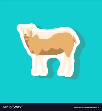 Sheep paper sticker on stylish background vector image