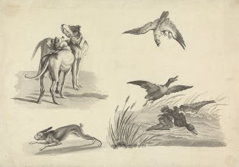 Sheet of Studies of Hounds, | Free Photo - rawpixel