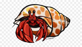 Shell Clipart Hermit - Hermit Crab Clipart Transparent